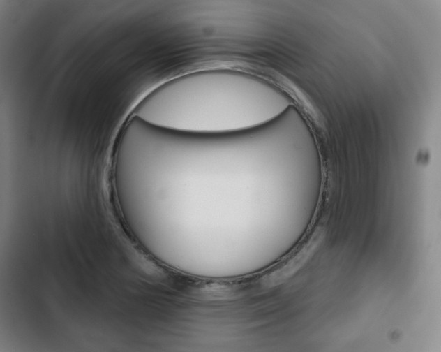 X0000103321178200809050952