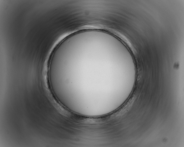 X0000103321179200809050952
