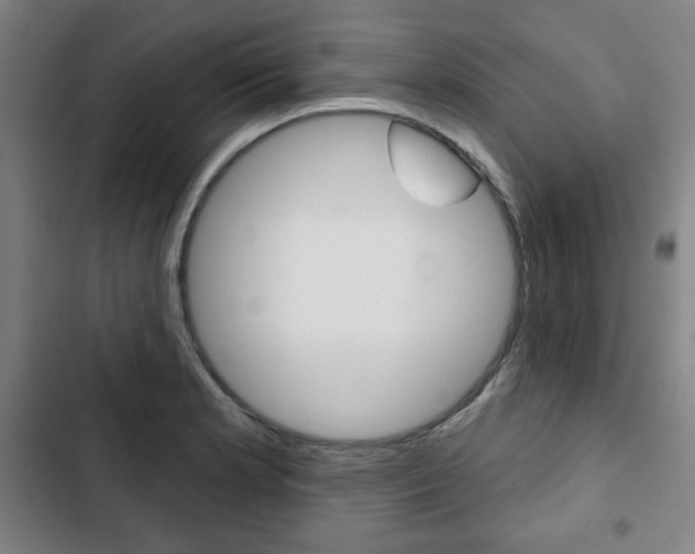 X0000103321181200809050952