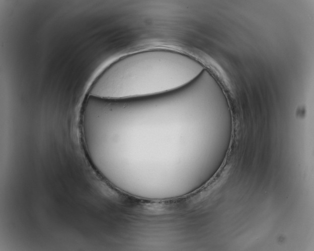 X0000103321182200809050952