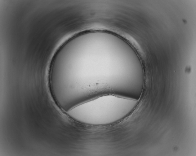 X0000103321183200809050952