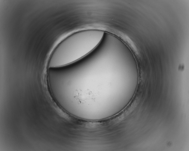 X0000103321184200809050952