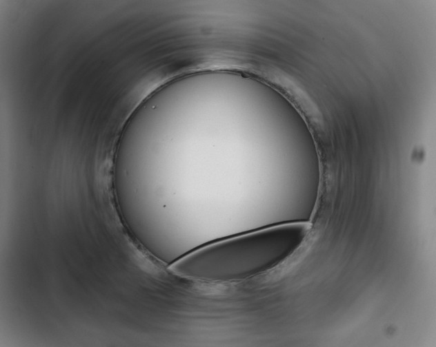X0000103321185200809050952