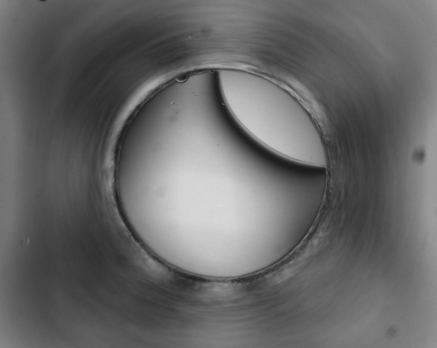 X0000103321188200809050952