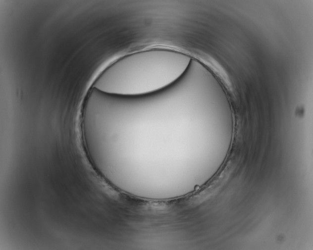 X0000103321190200809050952