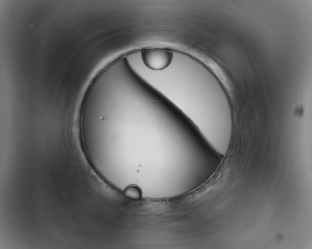 X0000103321191200809050952