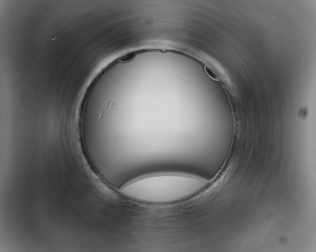 X0000103321192200809050952
