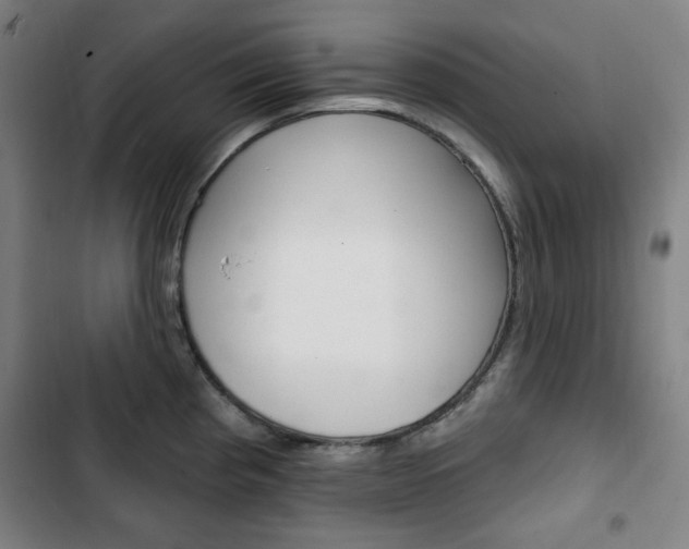 X0000103321193200809050952