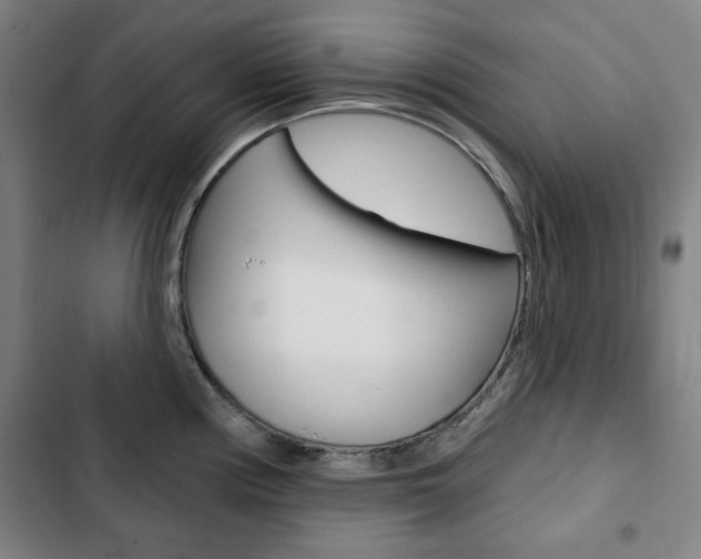 X0000103321194200809050952