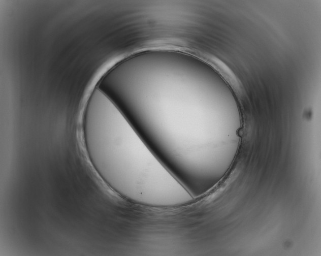 X0000103321196200809050952