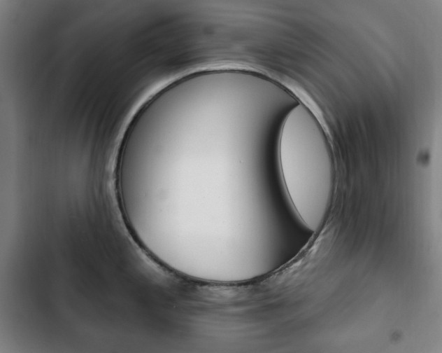 X0000103321197200809050952
