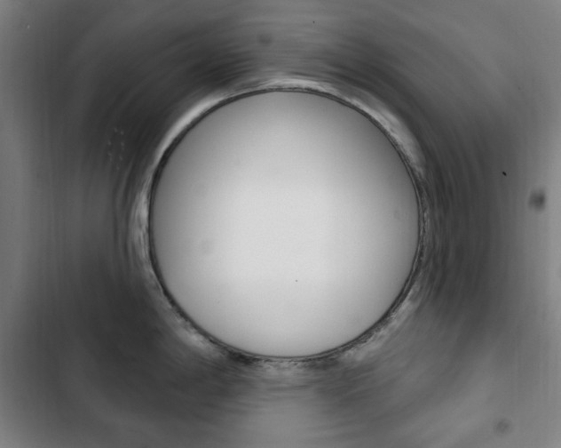 X0000103321198200809050952