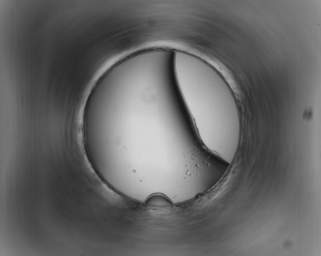 X0000103321199200809050952