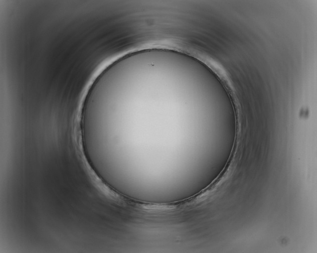 X0000103321200200809050952