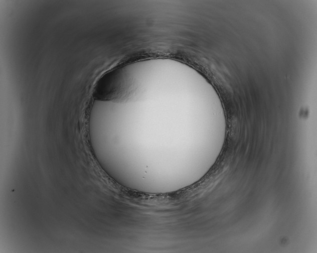 X0000103321201200809050951
