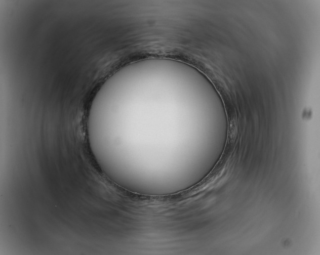 X0000103321202200809050951
