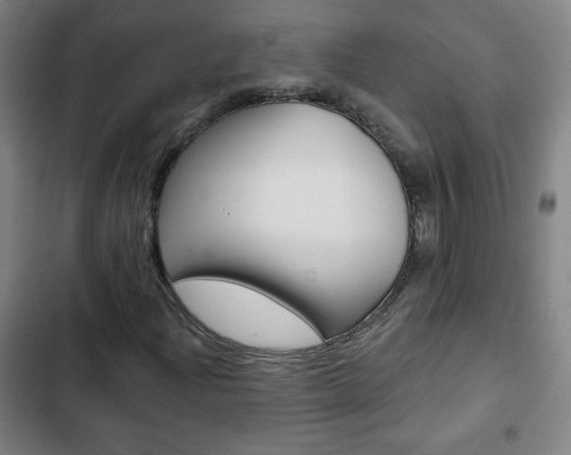 X0000103321204200809050951