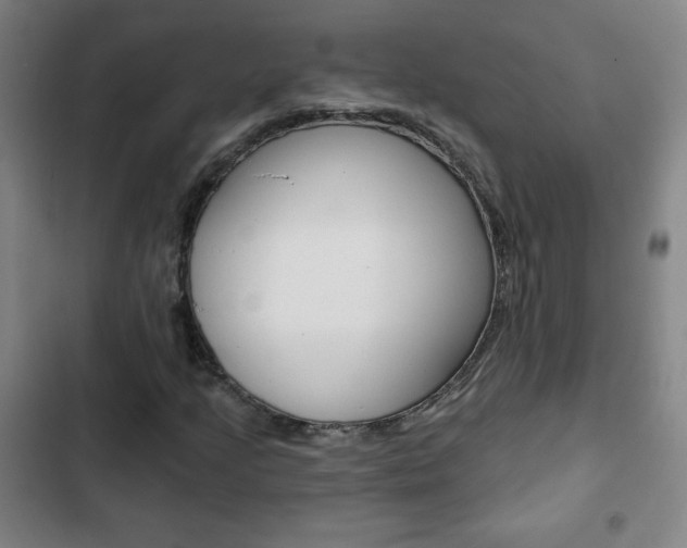 X0000103321205200809050951