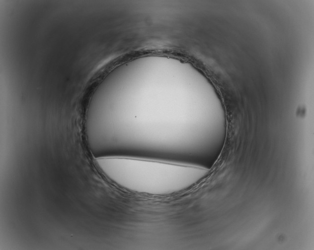 X0000103321206200809050951
