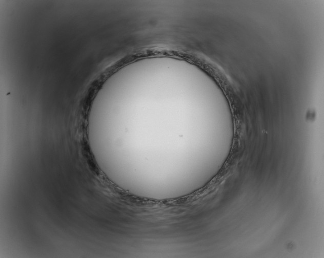 X0000103321207200809050951