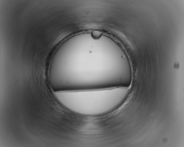 X0000103321209200809050951