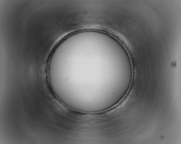 X0000103321212200809050952