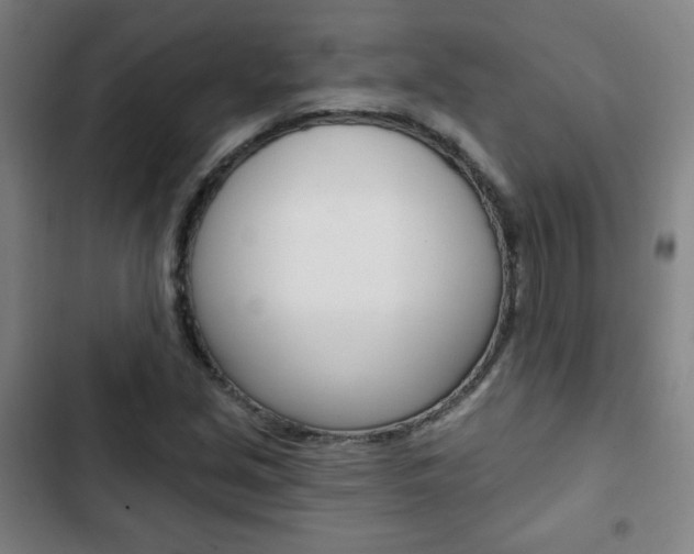 X0000103321213200809050952