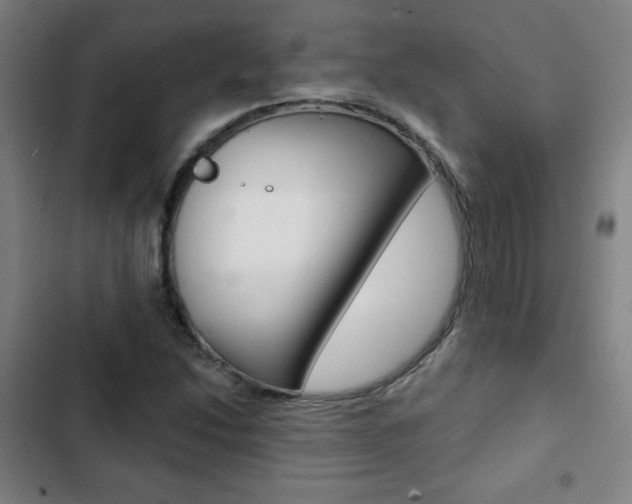 X0000103321214200809050952