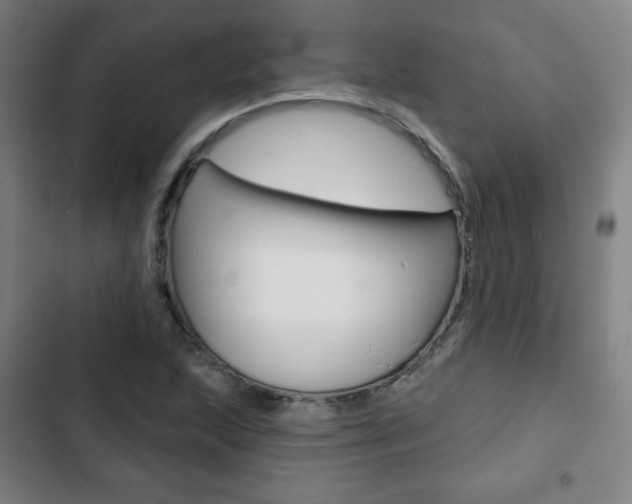 X0000103321215200809050952