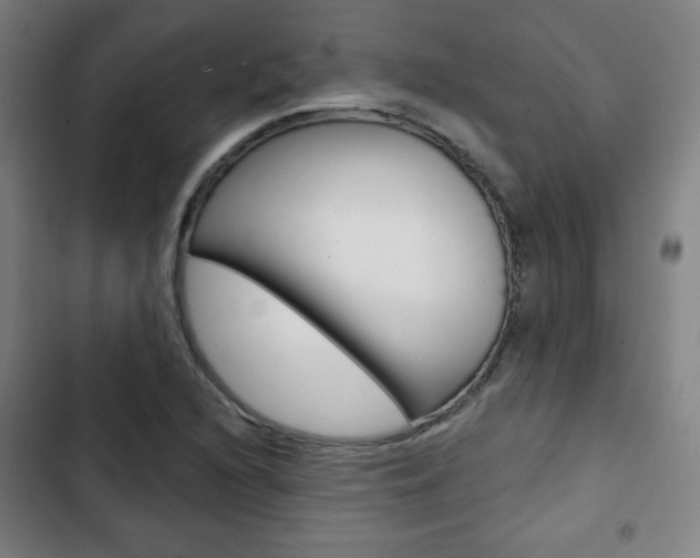 X0000103321216200809050952