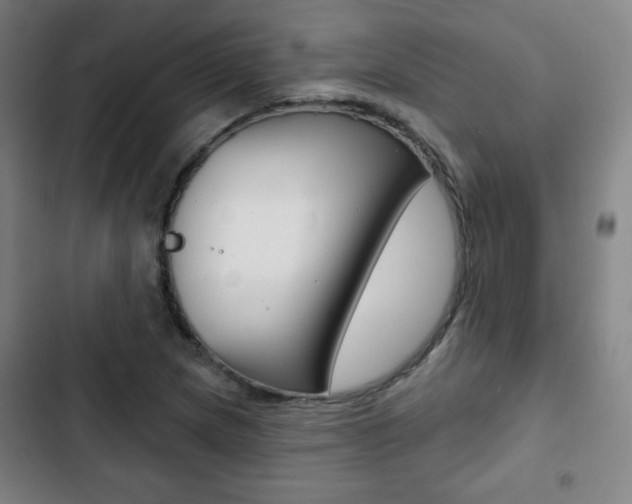 X0000103321217200809050952