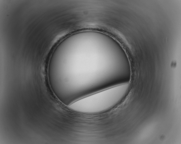 X0000103321218200809050952