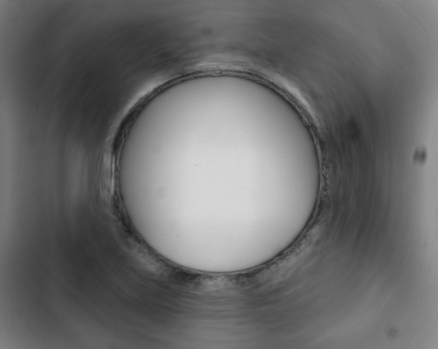 X0000103321219200809050952