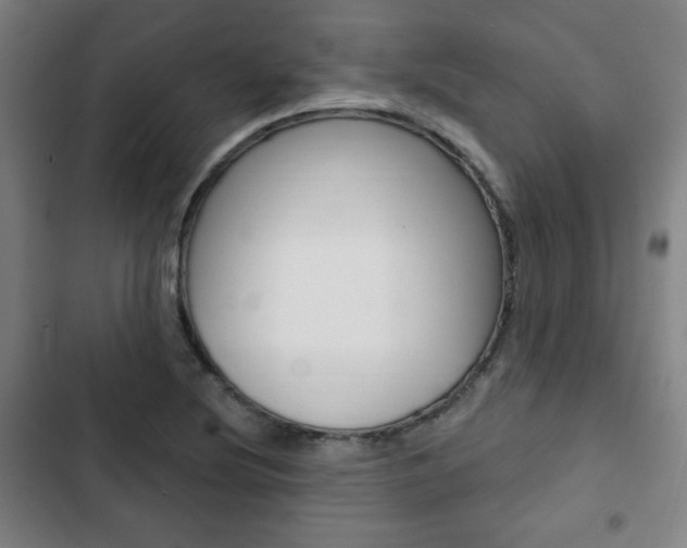 X0000103321220200809050952