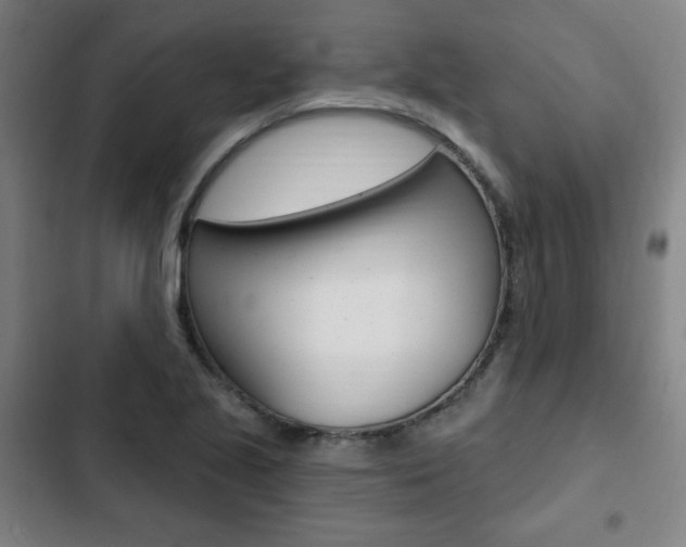 X0000103321221200809050952