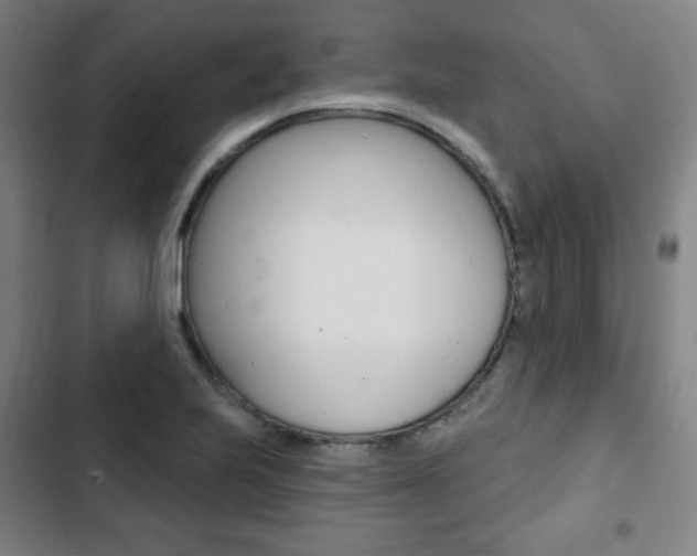 X0000103321223200809050952