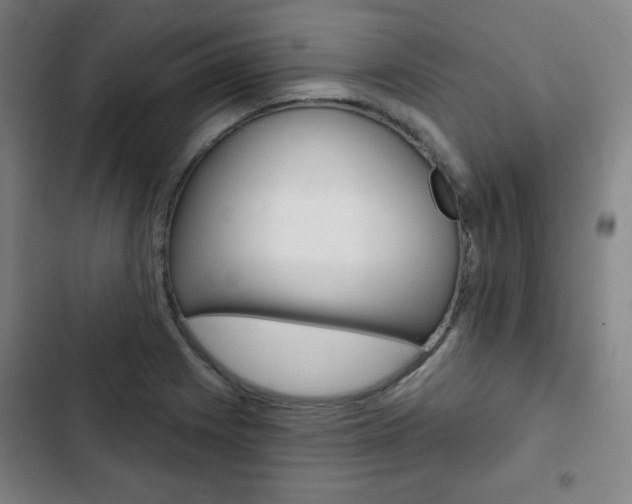X0000103321225200809050952