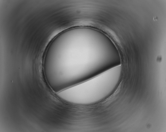X0000103321226200809050952