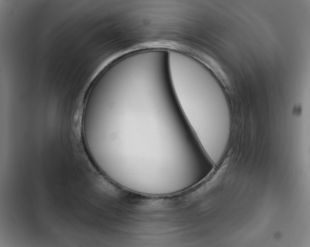 X0000103321228200809050952