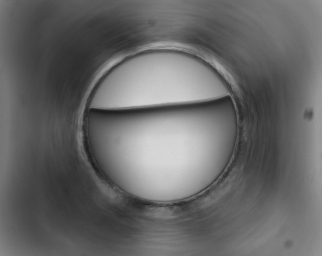 X0000103321229200809050952
