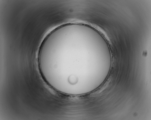 X0000103321231200809050952