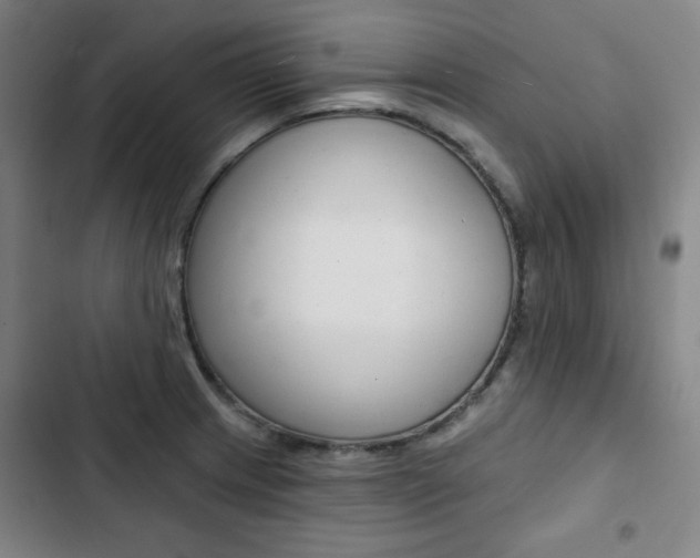 X0000103321233200809050952