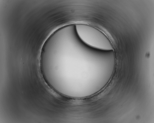 X0000103321236200809050952