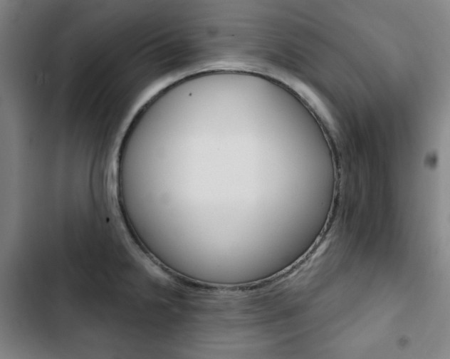 X0000103321238200809050952