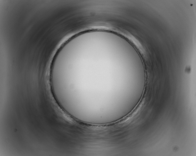 X0000103321240200809050952