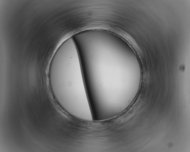 X0000103321242200809050952