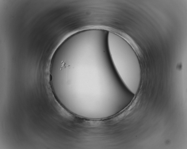 X0000103321244200809050952