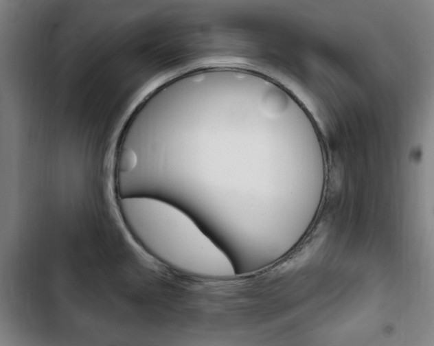 X0000103321245200809050952