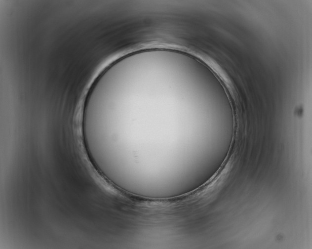 X0000103321246200809050952