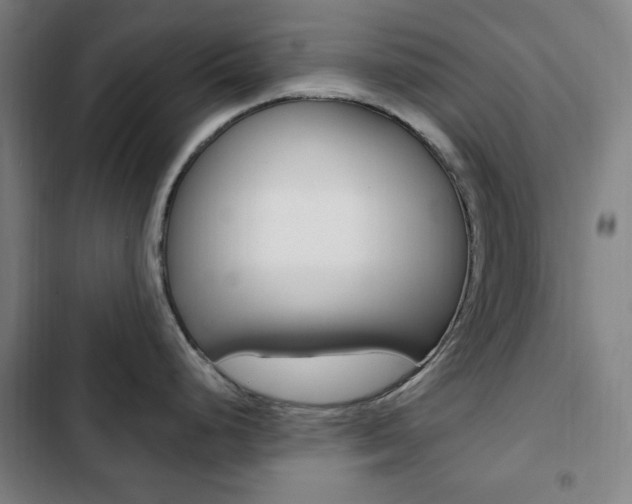 X0000103321248200809050952